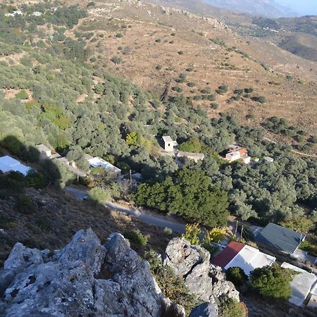 הוילה Asfendiles Garden Of Olive Trees מראה חיצוני תמונה