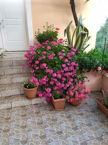 הוילה Asfendiles Garden Of Olive Trees מראה חיצוני תמונה
