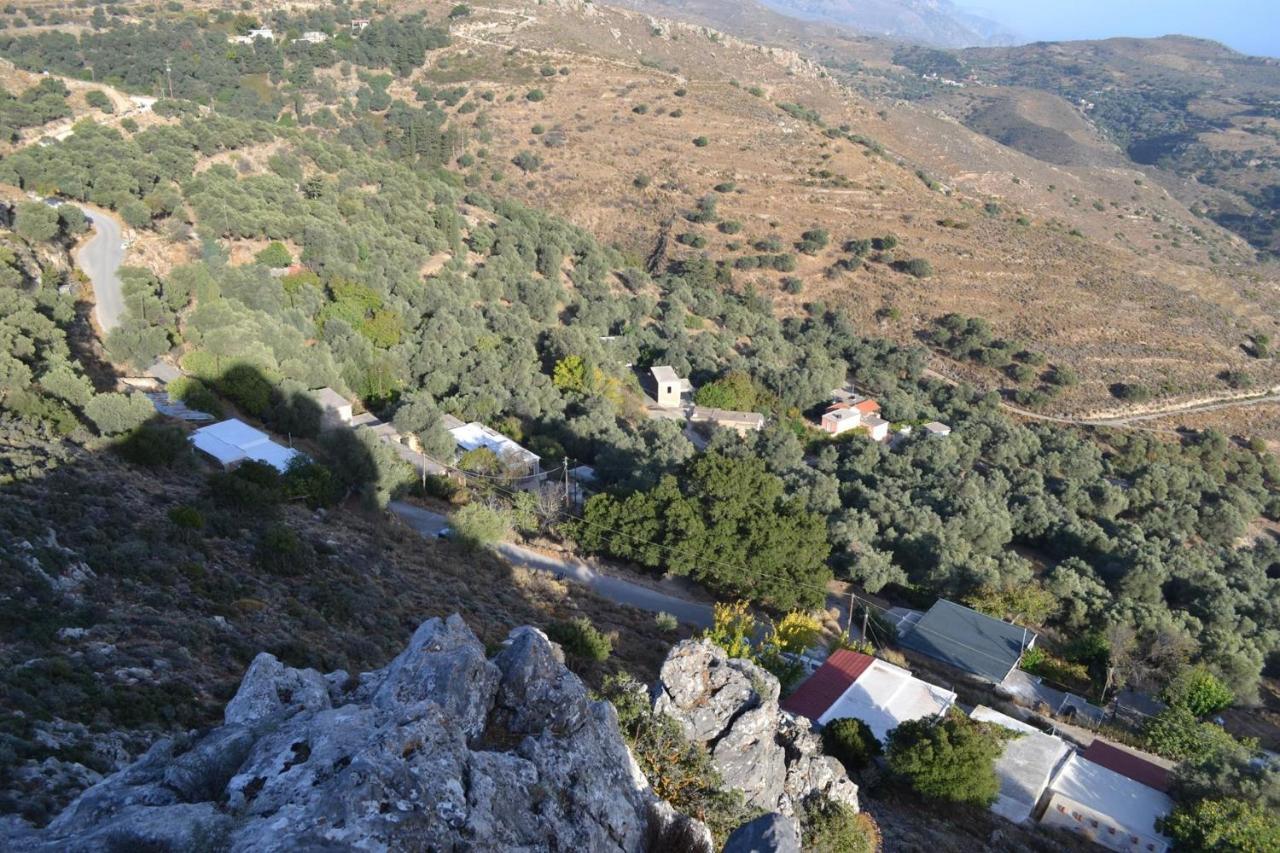 הוילה Asfendiles Garden Of Olive Trees מראה חיצוני תמונה